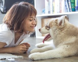 22 Signs Your Dog Is Truly Happy