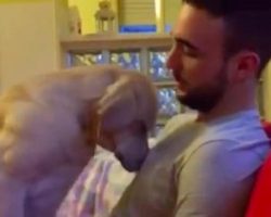 Apologetic Dog Asks For Forgiveness With A Hug