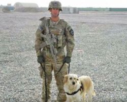 Army Staff Sergeant Reunites With Bomb-Sniffing Golden Retriever