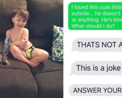 Wife Texts Husband She Found A Puppy, Then He Flips When He Realizes It’s Not A Dog In The Photo