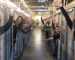 Animal Shelter Celebrates Their Happiest Day Ever Because All Kennels Are Empty