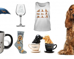 20 Items That All Cocker Spaniel Lovers Need To Have