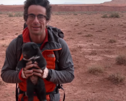 This Hiker Finds A Shaking Puppy Abandoned In The Desert. What He Does Is Heartwarming…