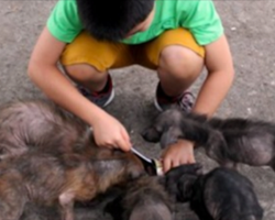 11-Year-Old Boy Works Miracles With His Very Own Animal Shelter