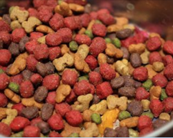 Company Researches 2,200 Dog Food Formulas And Finds ONLY 119 To Be Satisfactory