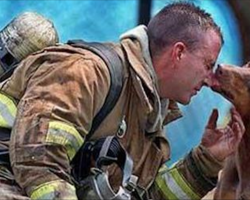 10+ photos of firefighters saving animals that will warm your heart