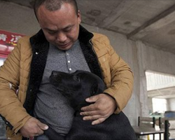 Millionaire loses his beloved dog, rescues over 2000 stray dogs in his honor