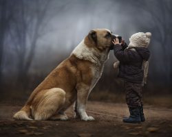 Mother’s intimate photographs capture her sons’ special bond with dogs, ducks and rabbits