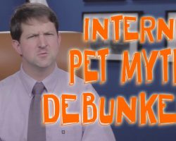 Top Internet Pet Myths… Debunked!