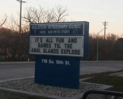 Think Vets Don’t Have A Sense Of Humor? Check Out These Hilarious Signs