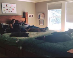 This Couple Was Tired Of Sleepless Nights With Their 8 Dogs, So They Found A Clever Solution