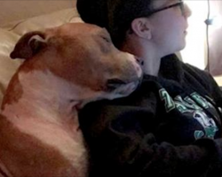 Woman Shares Heartwarming Photo That Sums Up Animal Adoption Perfectly