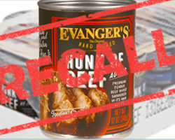 Dog Food Company Issues Recall After Deadly Drug Is Found In Their Products