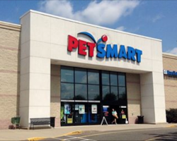 URGENT: PetSmart & Companion Dog Food Recalls – MUST READ