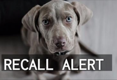 RECALL ALERT: Another Dog Food Brand Orders Recall After Possible Euthanasia Drug Contamination