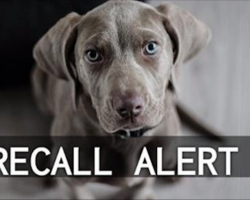 RECALL ALERT: Another Dog Food Brand Orders Recall After Possible Euthanasia Drug Contamination