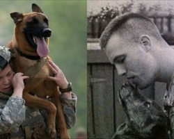 6 Historic Military Dogs Who Gave Everything For Their Country – I Bet You Haven’t Heard Of Them All!