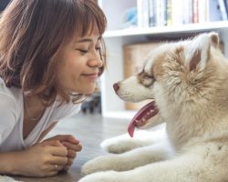 5 Ways To Tell Your Dogs You Love Them In Their Own Language
