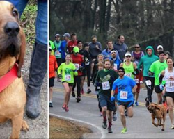 Owners let dog out for potty break. Dog accidentally joins half-marathon, finishes race in 7th place