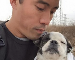 Man risks his life repeatedly to save hundreds of dogs from China’s underground meat trade