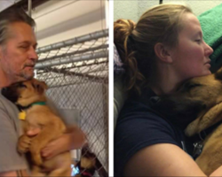 Woman Takes In Her Dad’s Dog After He Passed Away – Then His Vet Reveals Some Distressing News