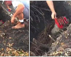 Workers Digging Into The Ground Suddenly See Orange Sweater And Ask ‘Is He OK?’