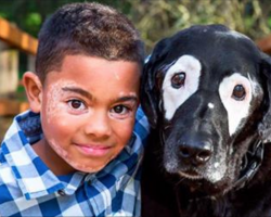 Boy with rare skin condition feels like an outcast. Then he meets a dog who can relate