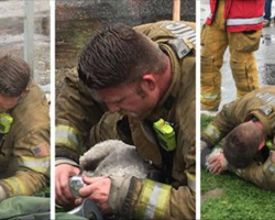 Firefighters carry lifeless puppy out of burning building. Then they bring her back to life