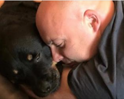 Rottweiler With Cancer Happy Right Until The End Thanks To Family’s Bucket List