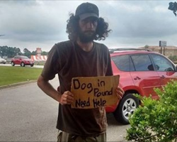 She sees homeless man holding sign that says “Dog in pound,” pays the fee and reunites them