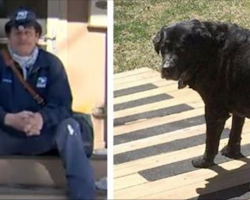 Mailman spots a change in the dog that sees him daily. Then he catches what the owners are up to