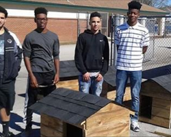 High school shop students build houses for dogs and cats in desperate need of shelter