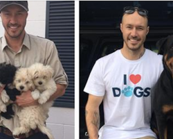 This Australian man is on a mission to save every single dog in the world