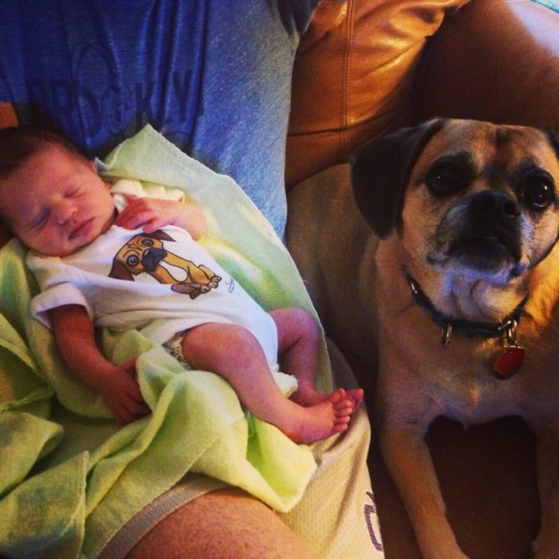 12-dogs-with-babies