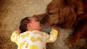 19-dog-with-babies