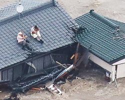 Despite the flood, couple refuses to let go of their dogs. These photos prove the meaning of love.