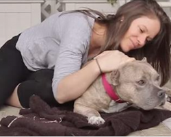 Rescuer Gives An Abused Pit Bull A Cuddle And Seconds Later, Everyone Is Brought To Tears