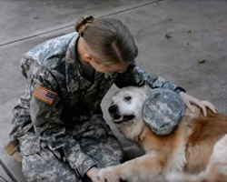 Elderly Dog Cries When She Notices Soldier Has Returned Home