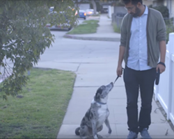 He adopted a senior dog from the shelter, but one day it stops on their walk and looks up at him