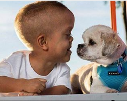 Boy is bullied because he ‘looks’ weird. Then he meets a dog who changes everything