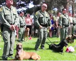 Police dogs start barking in the middle of funeral for the most heartbreaking reason…