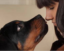 Why Losing A Dog Can Be Even More Painful Than The Death Of A Loved One