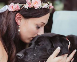 Dying Dog Carried Down The Aisle To Be By His Human On Her Wedding Day