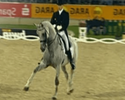 Horse Starts Trotting, But Watch When The Music Changes — 16 Million Peoples Jaws Dropped!