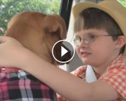 Mom Brings Home A Rescued Pit Bull. Now Watch What Happens When He Meets Their Autistic Son…