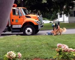 A Garbage Man Didn’t Know He Was On Camera, What They Caught Him Doing Took My Breath Away