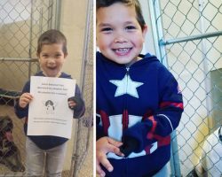 Boy goes to animal shelter to adopt a dog, uses allowance to rescue 2 other dogs