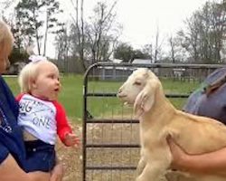 Baby And Goat Have A Hilariously Adorable Conversation Together