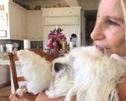 Barbra Streisand Mourns The Loss Of Her Beloved 14-Year-Old Dog