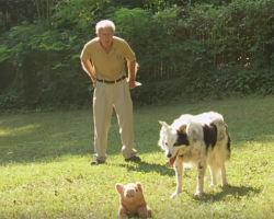 This man has gotten a dog to do something that many felt was impossible